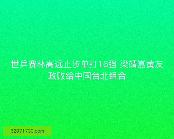 世乒赛林高远止步单打16强 梁靖崑黄友政败给中国台北组合