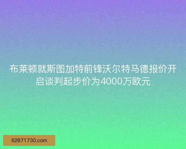 布莱顿就斯图加特前锋沃尔特马德报价开启谈判起步价为4000万欧元