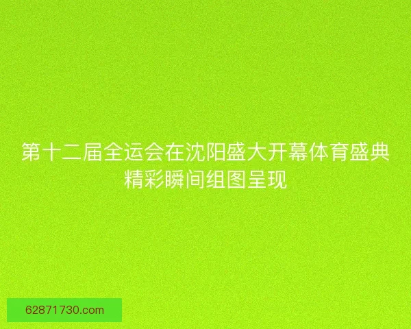 第十二届全运会在沈阳盛大开幕体育盛典精彩瞬间组图呈现