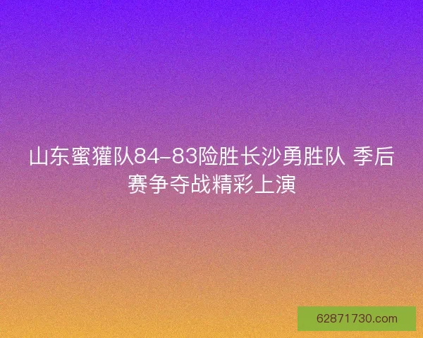 山东蜜獾队84-83险胜长沙勇胜队 季后赛争夺战精彩上演 山东蜜獾队84-83险胜长沙勇胜队 季后赛争夺战精彩上演